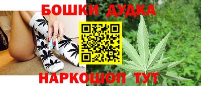 прущие грибы Гусиноозёрск