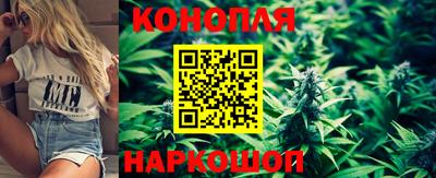 таблы Гусев